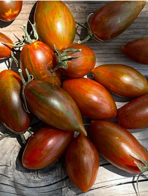 Tomatomania seedling sale announces spring events in the 805